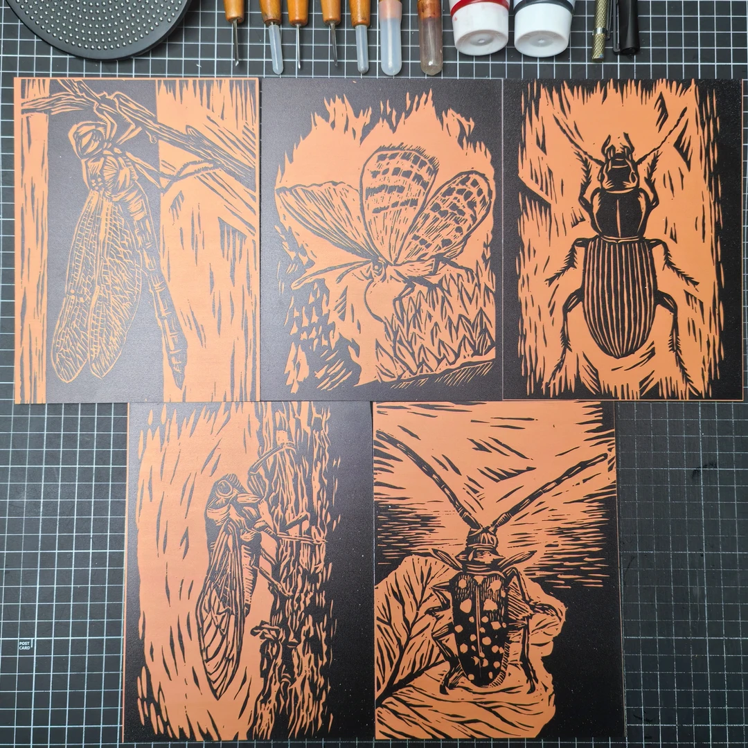 微观昆虫A5带图案雪弗板套装5块