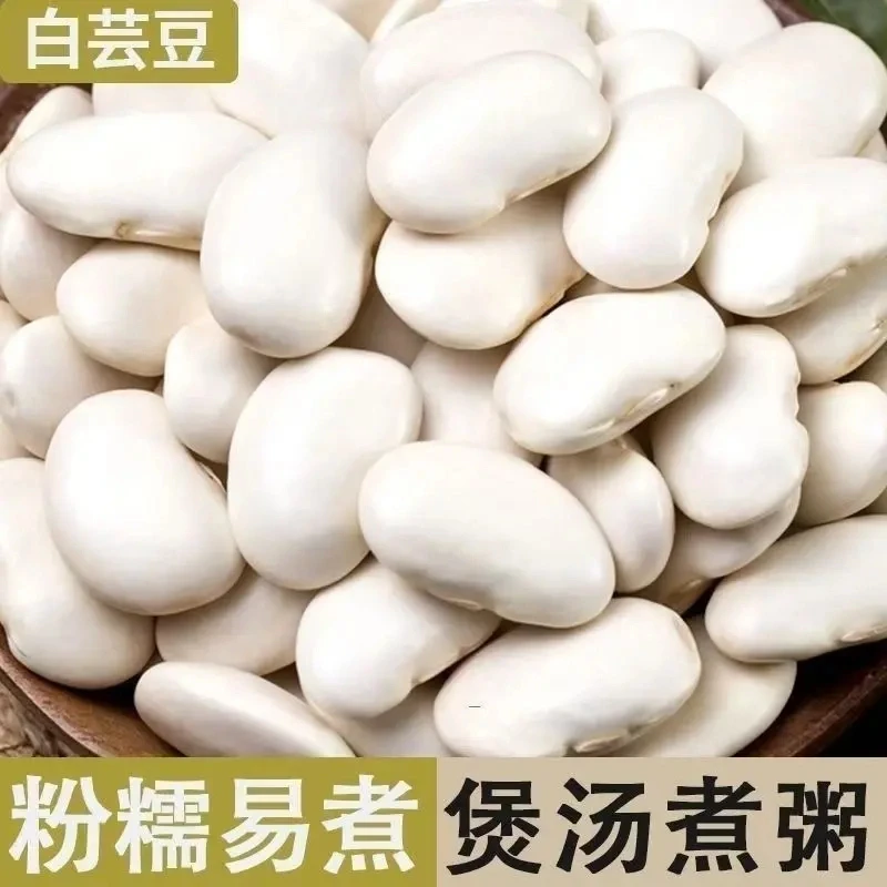 抢！一大袋】云南白芸豆大颗粒白芸豆雪豆白豆无糖低脂杂粮煲汤特大