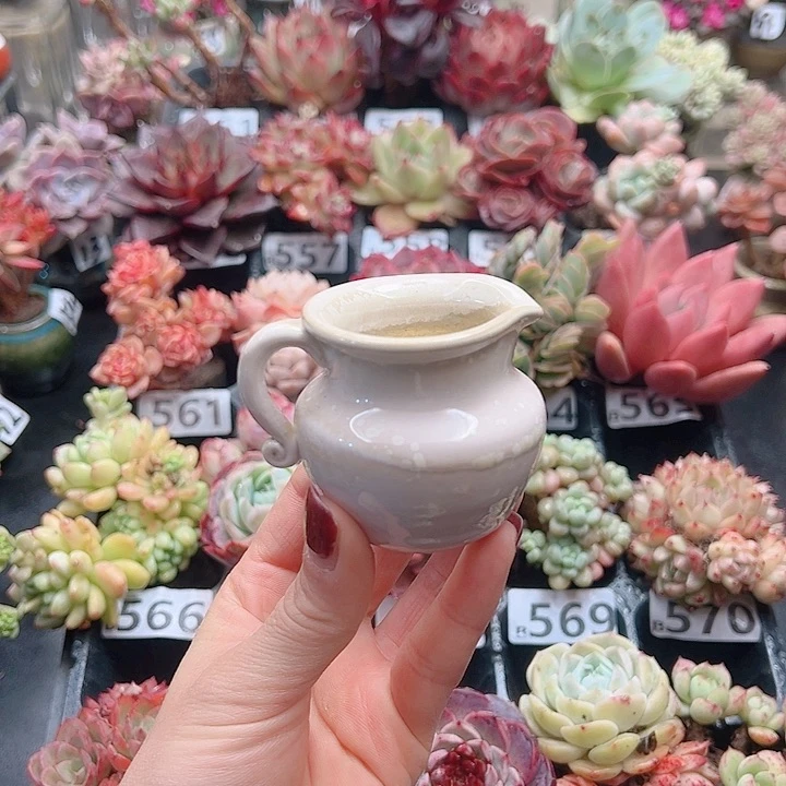 无铅玻璃爱****1花钱花钱就去花钱