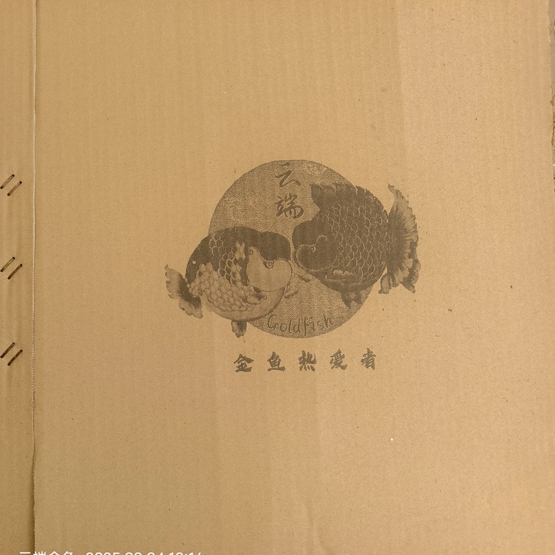 纸箱运输包装专拍