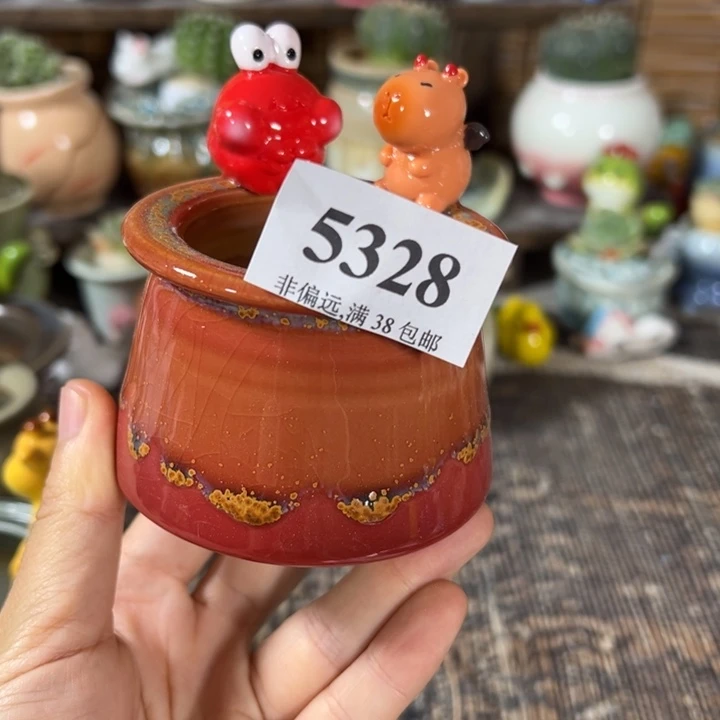 口5高6 。 ，活动价满30包邮