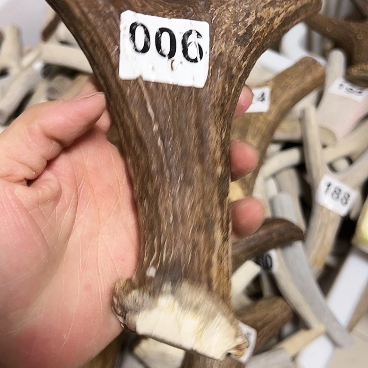 专***漆香榧木木雕款鹿角