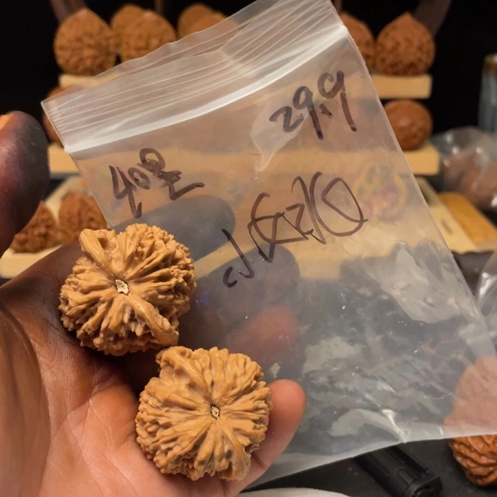 说***姚把件文玩核桃满天星