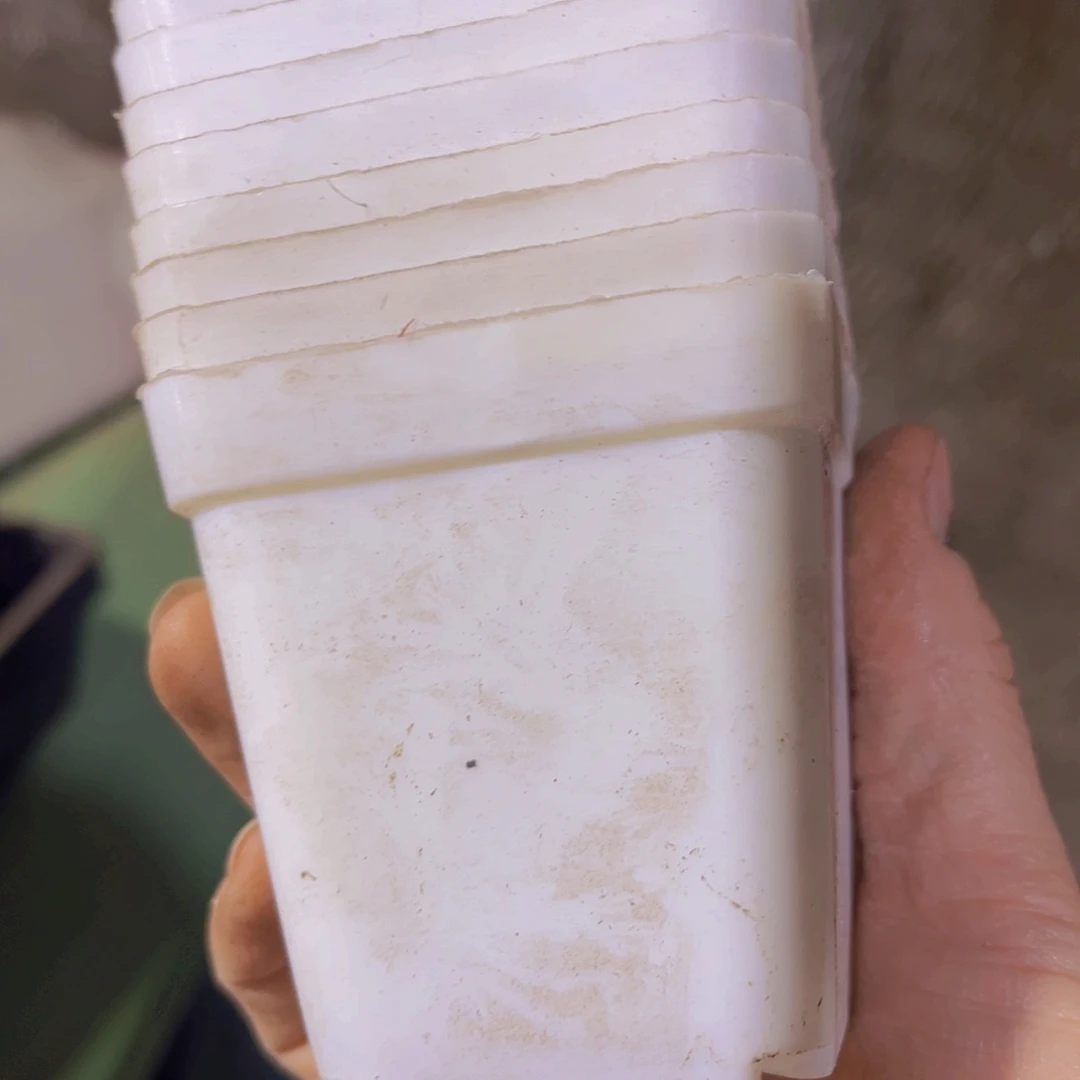 塑料7 公分白方盆薄 100个