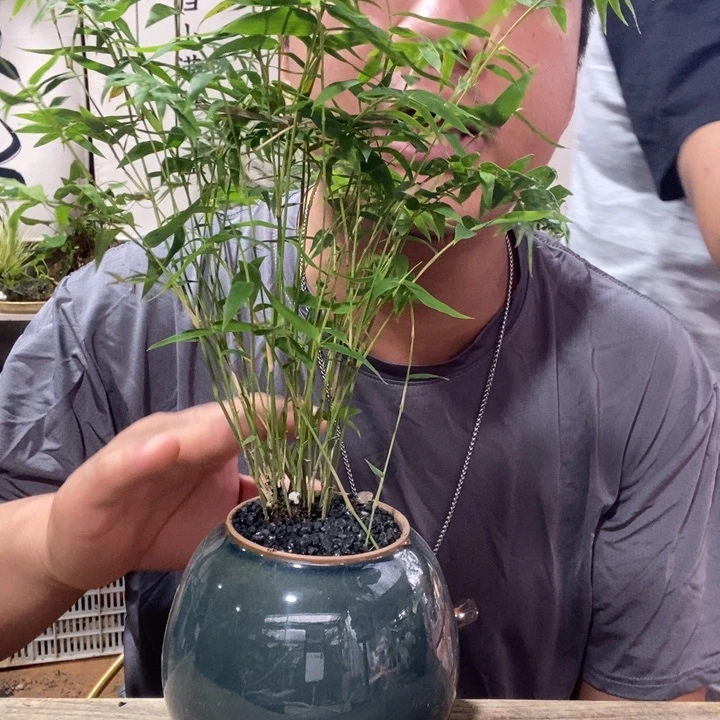 知***沐无花朵退款拉黑拉黑 69