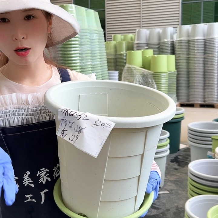 玫瑰盆320#米白色5个含托