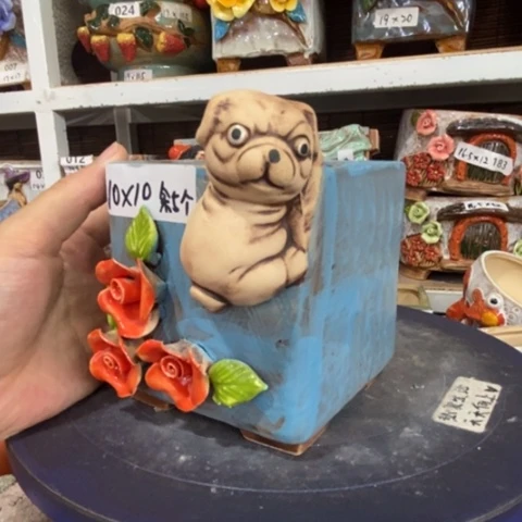【闪购商品】