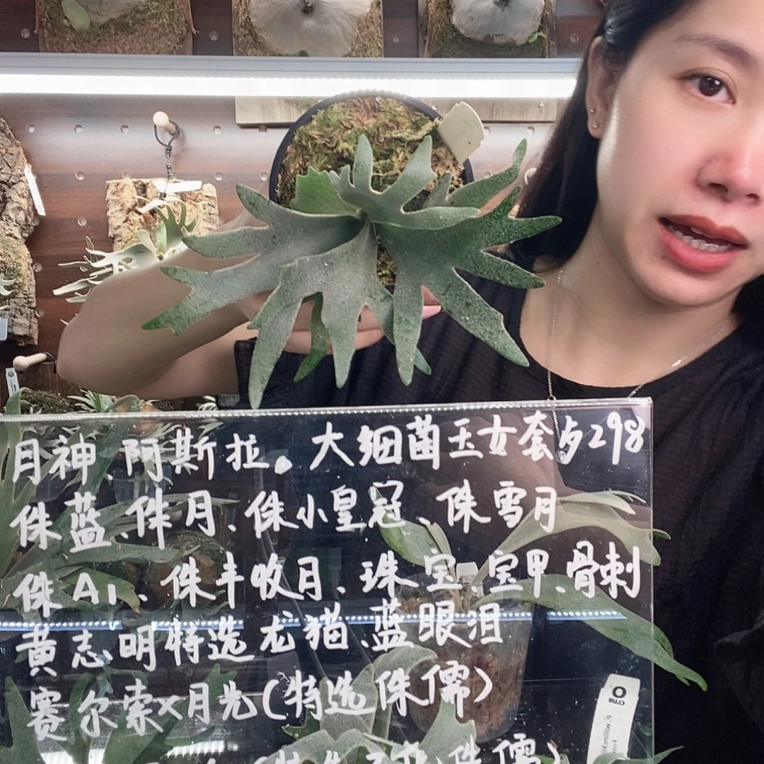 无花朵OMG1111111