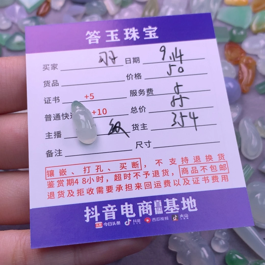 颈饰未镶嵌翡翠～*羽