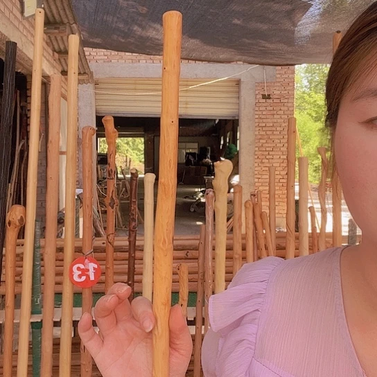 牛筋木长杆子盘玩