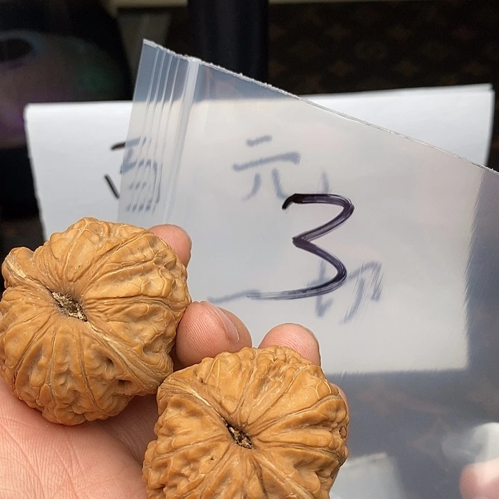 吊坠文玩核桃W64979497459797075075