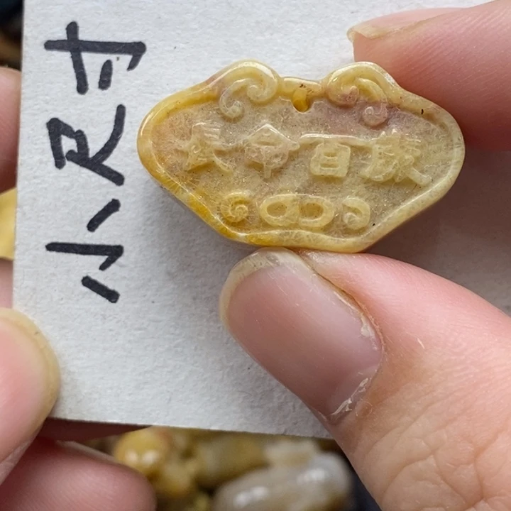 硅化珊瑚（珊瑚玉）未镶嵌颈饰