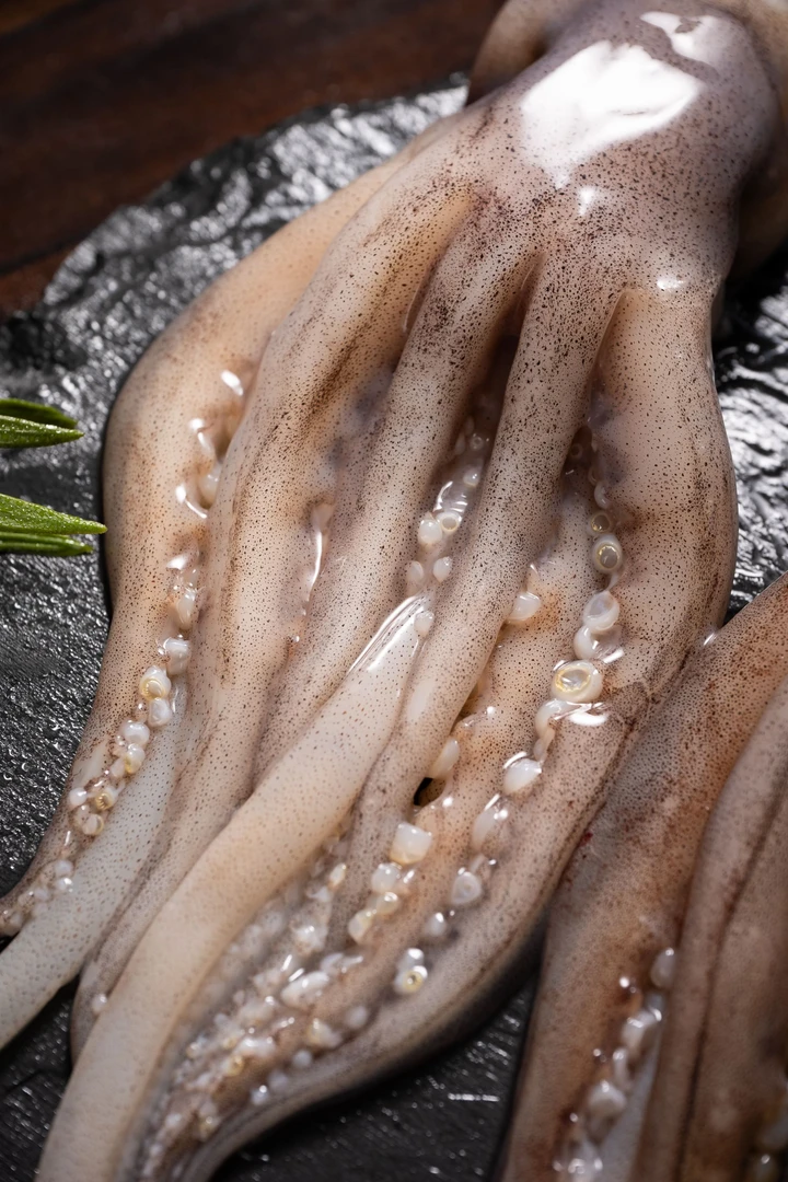 速冻新鲜鲜活现切鱿鱼头2斤/4斤鲜美锁鲜海捕脆嫩