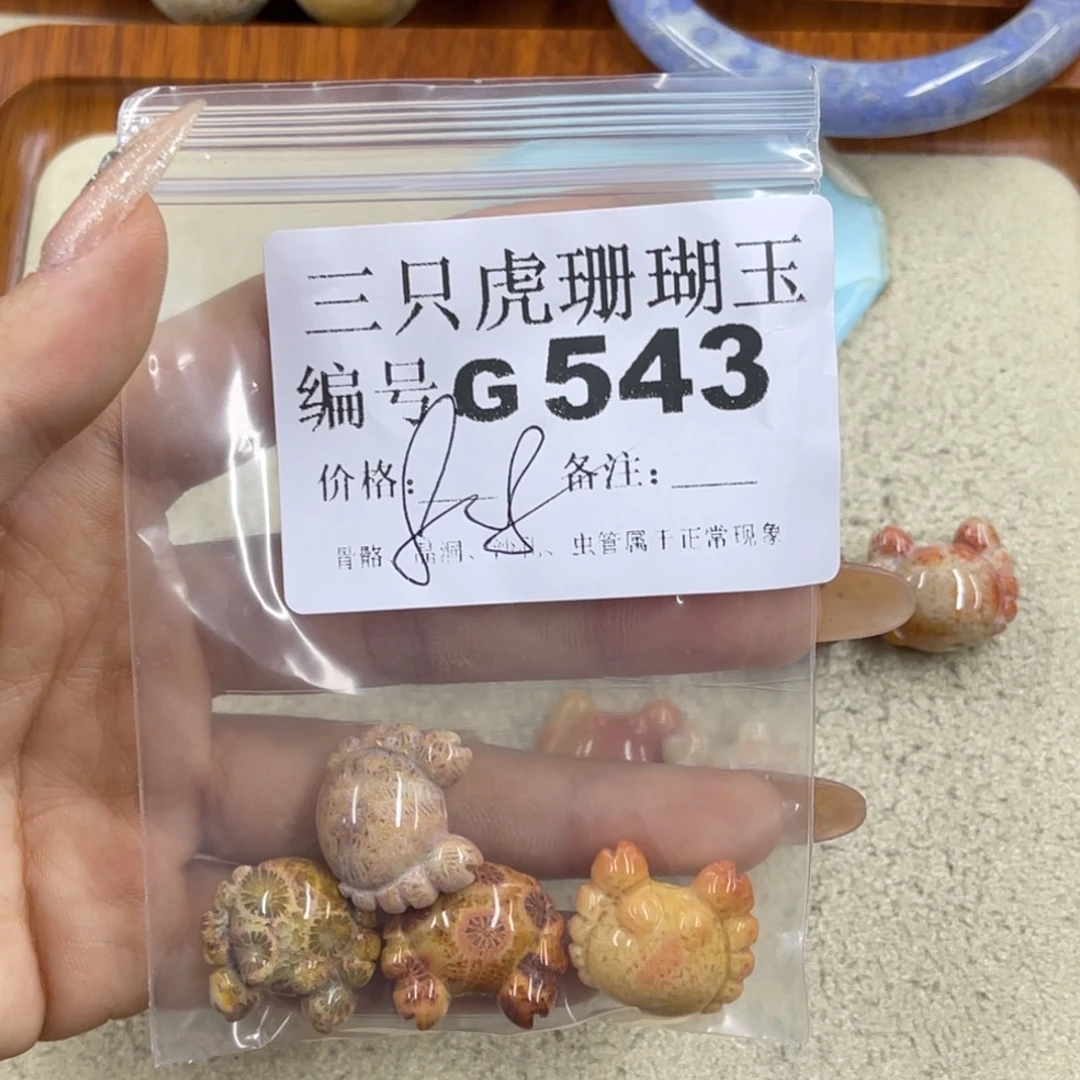 太***阳硅化珊瑚（珊瑚玉）未镶嵌h