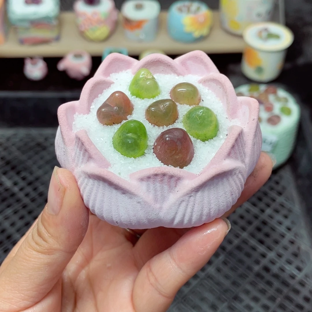 w1666 带盆土发货-零下地区拍保温箱