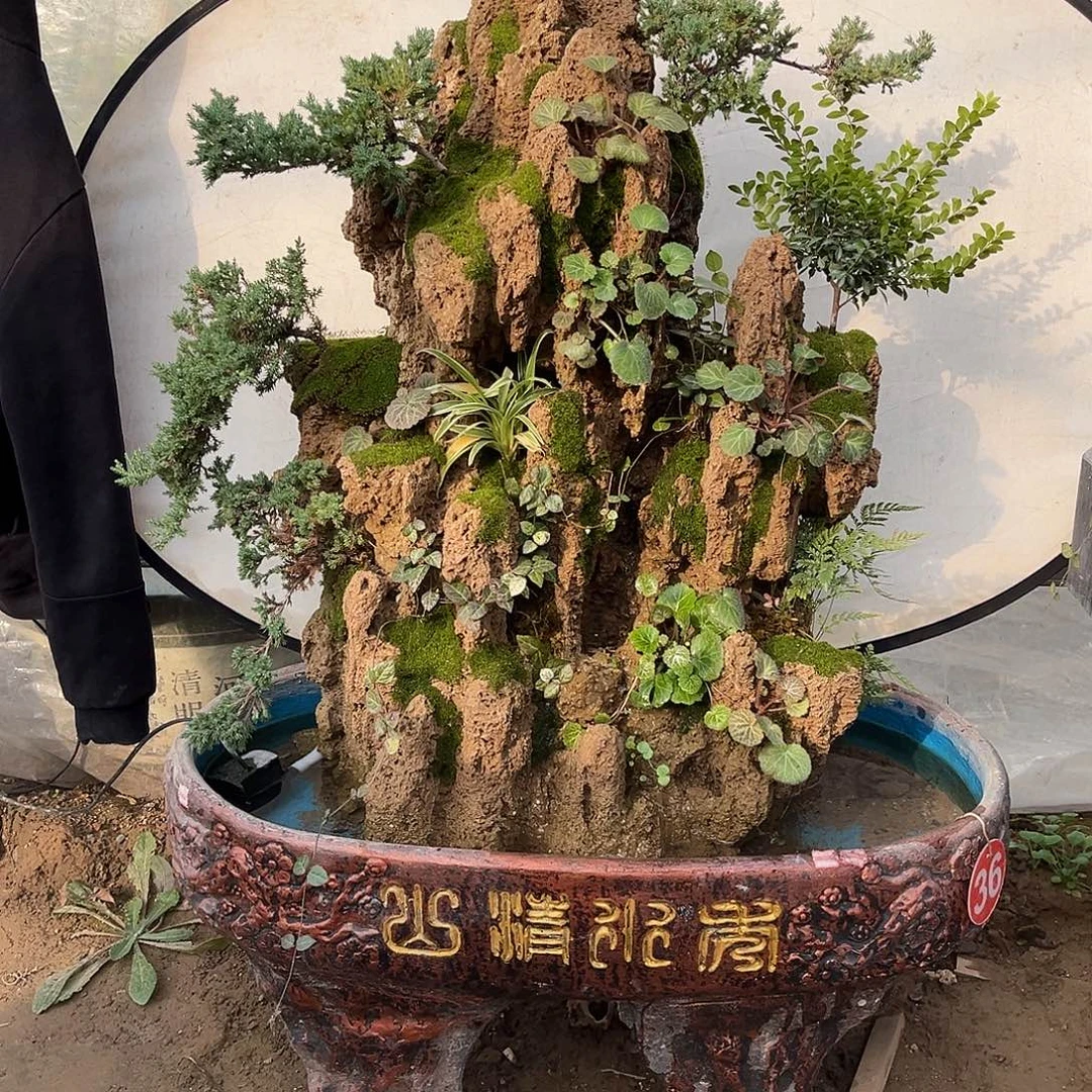 无花朵吸水石假山盆景全套