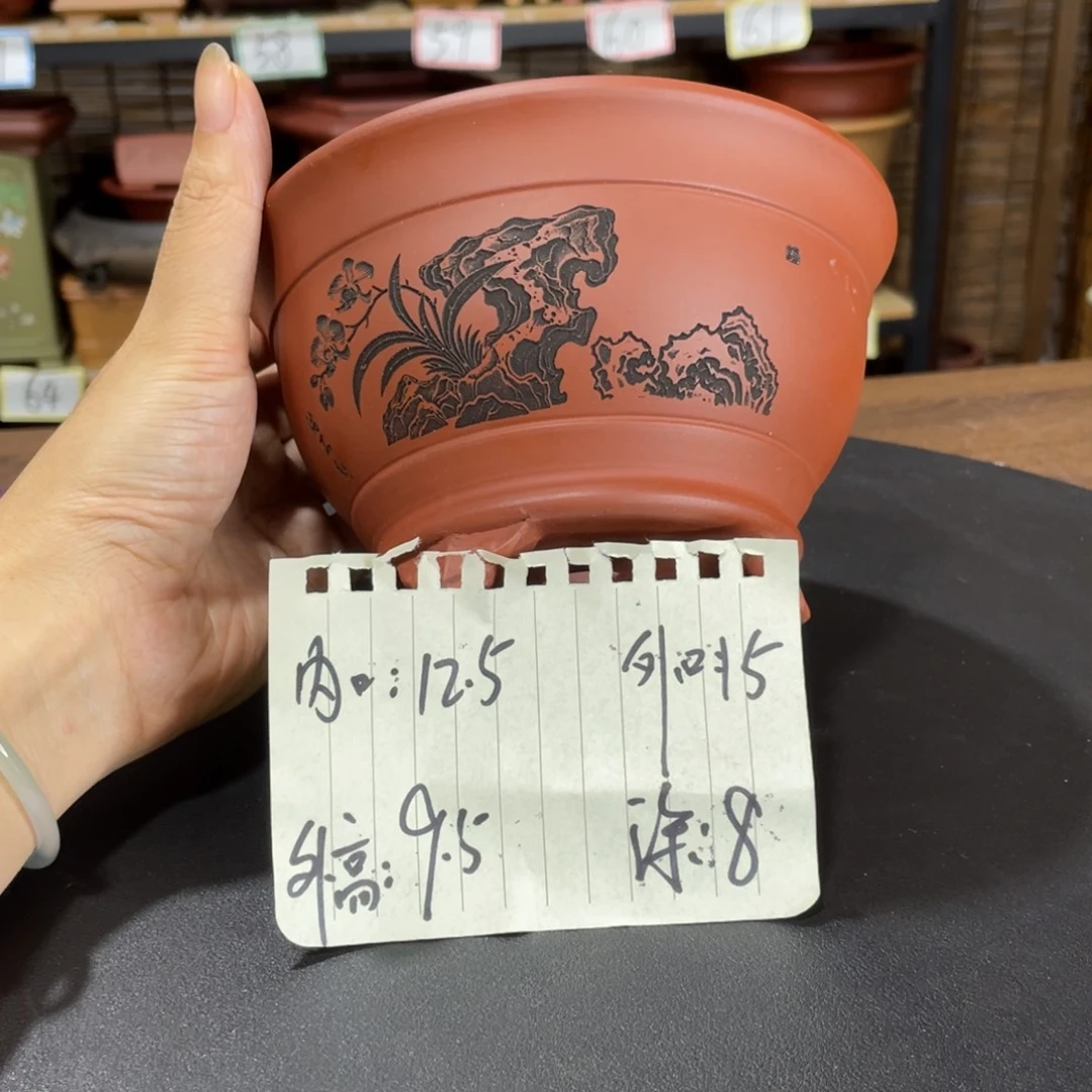 花盆紫砂紫砂之光