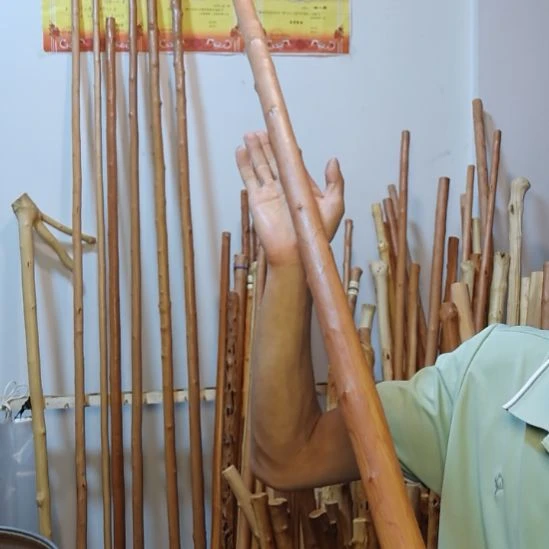 少***嘛秦岭石山红荀子，牛筋木