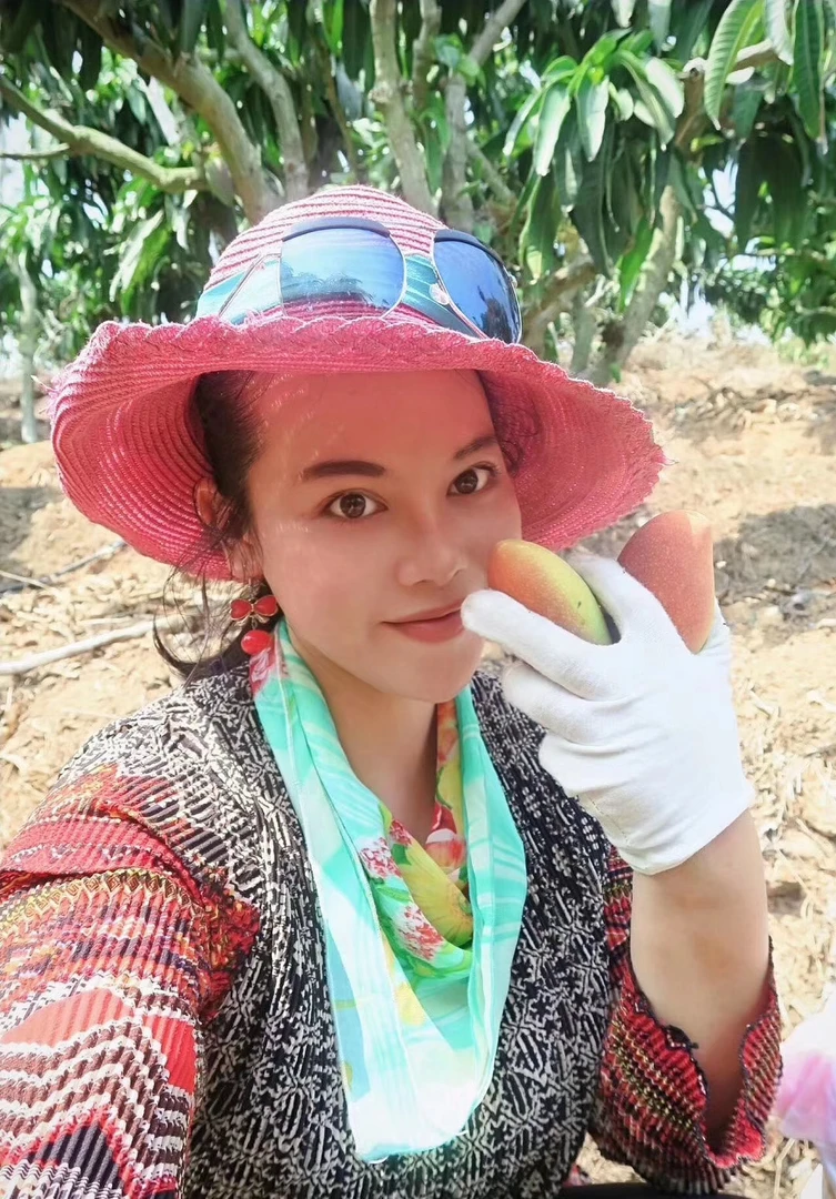 让人上瘾的贵妃芒拨开美丽极薄的外皮，汁水横流芒果中贵族