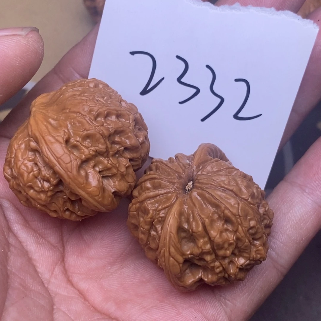 核桃血麒麟尺寸36