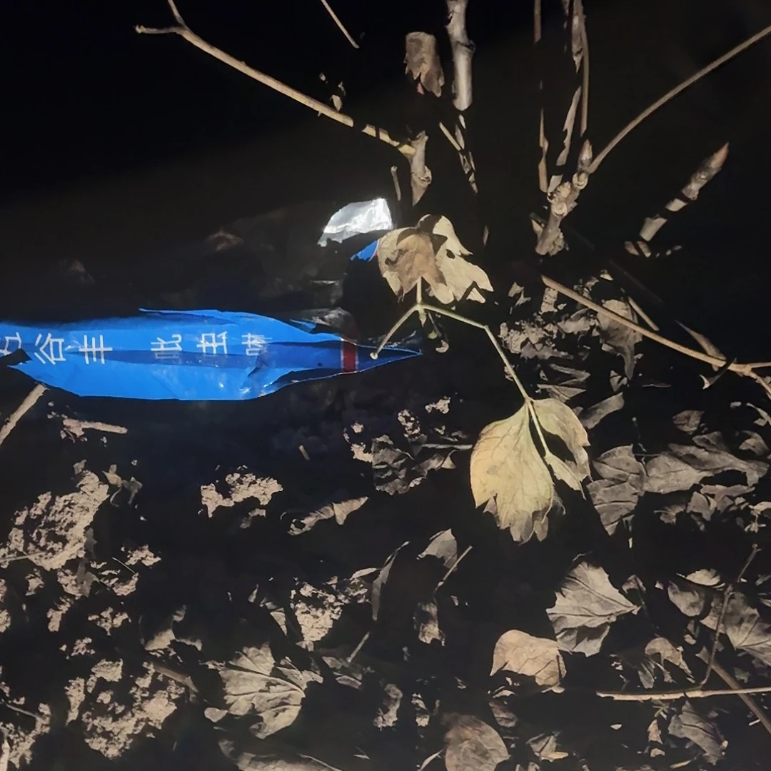 完全开放1111111111？