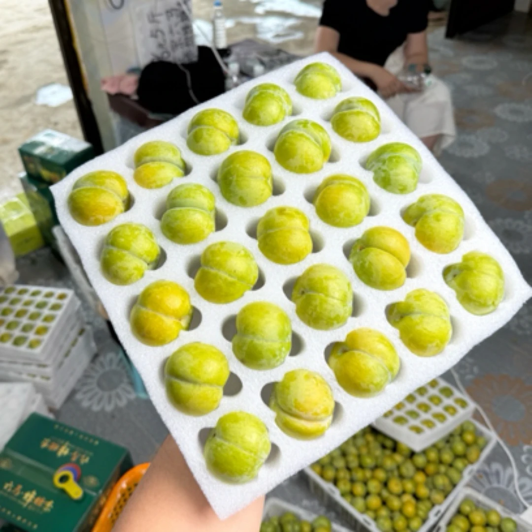 贵州安顺六马蜂糖李/顺丰空运包邮