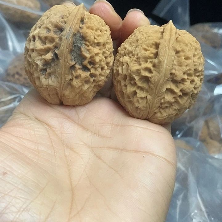 木质类云南铁核桃基地90