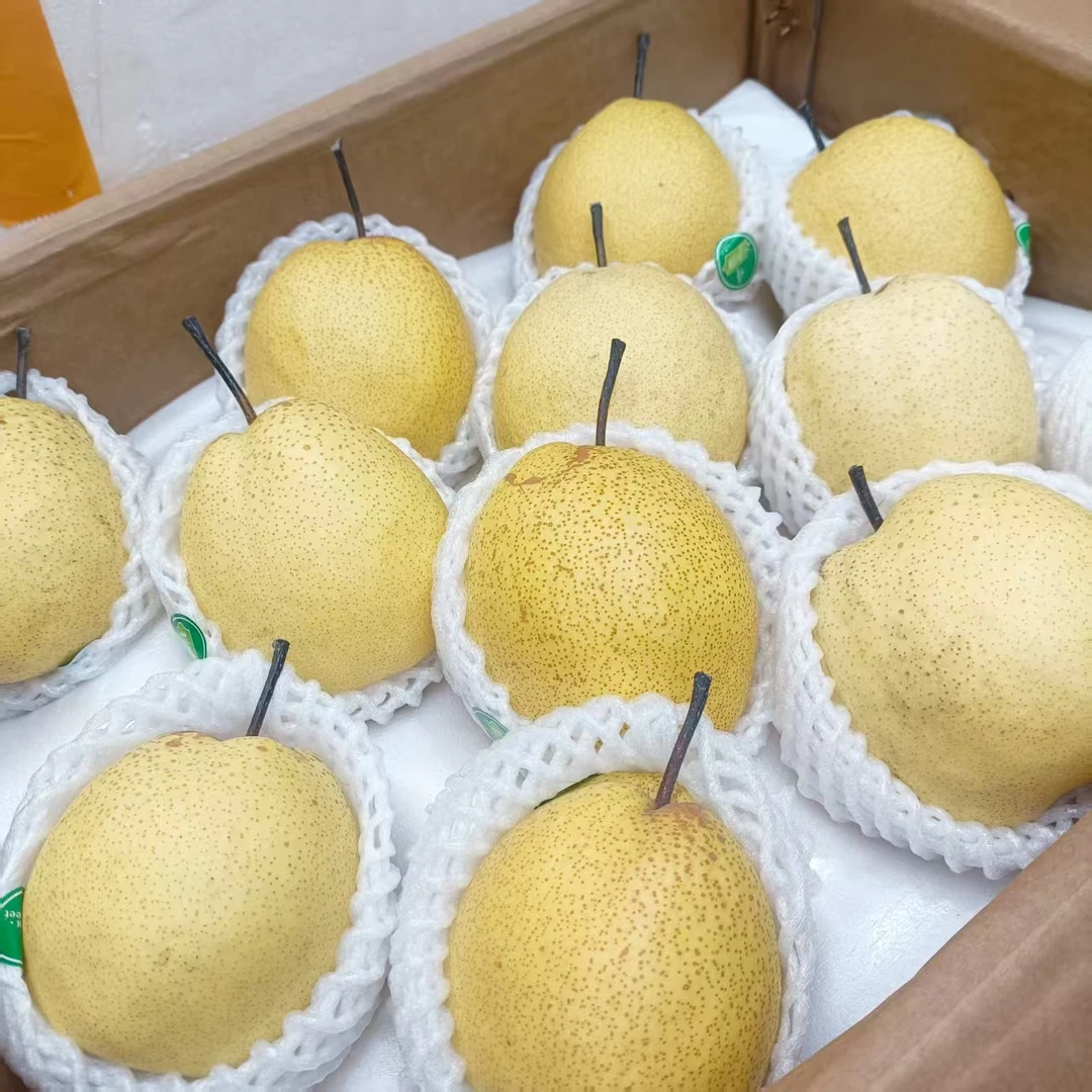 树上熟蜂糖梨(坏果包赔)