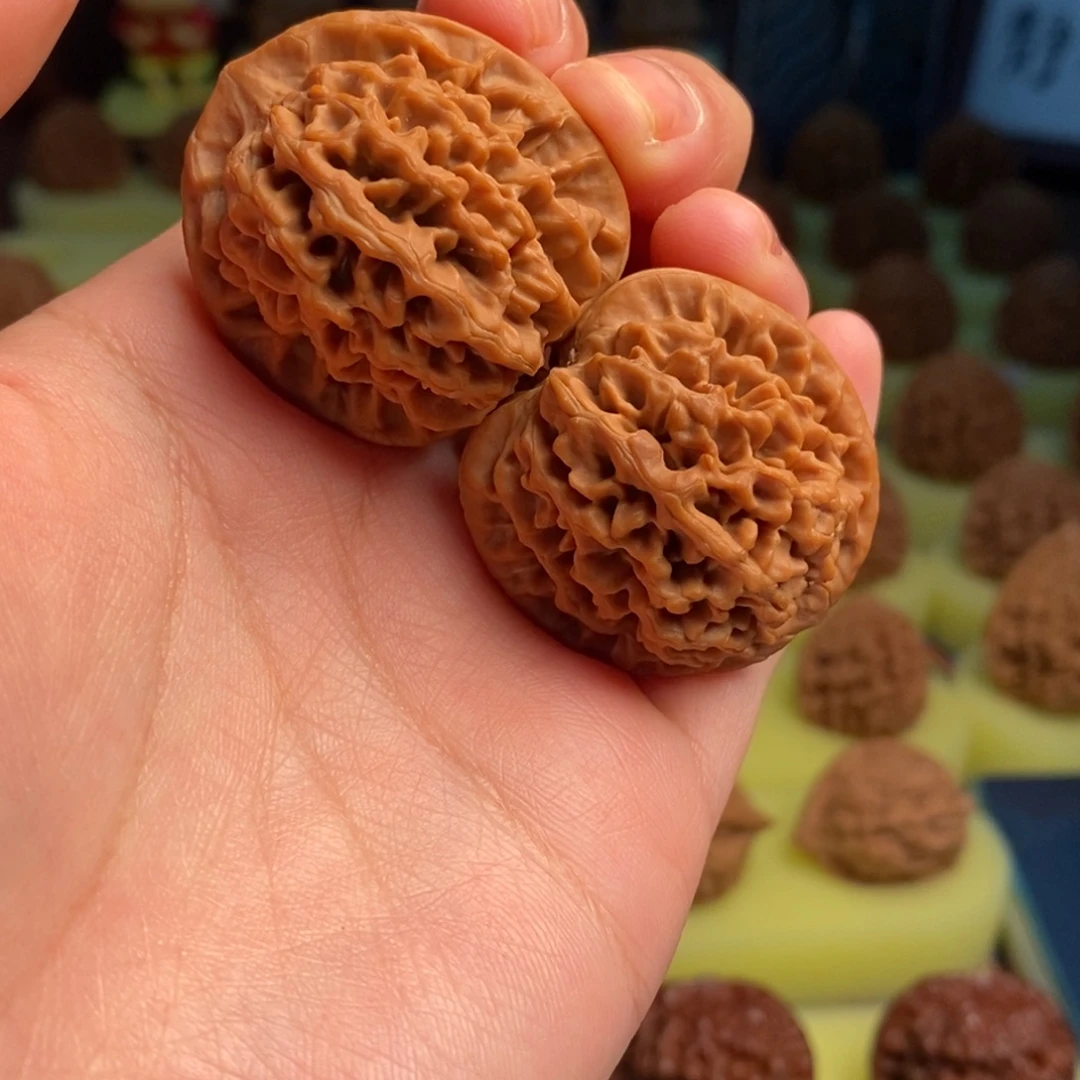 核桃秦岭闷尖狮子头34全家福