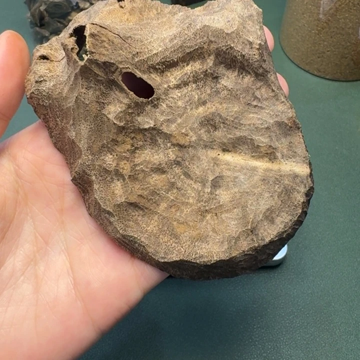 沉香手把件马*亮海南天然野老铁头老料16克