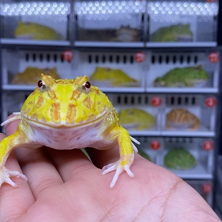 特价秒杀一切顺利