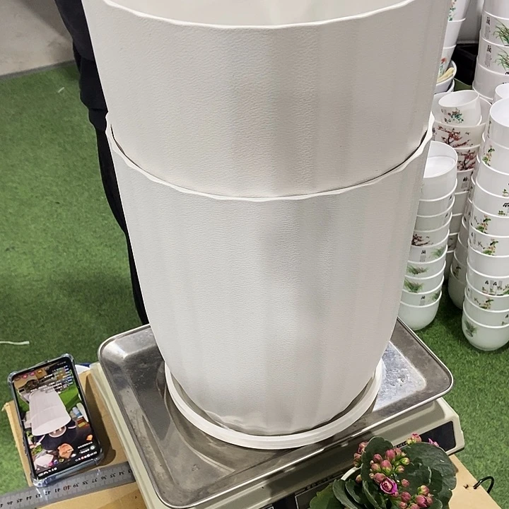 一***界FA270白色带拖2只