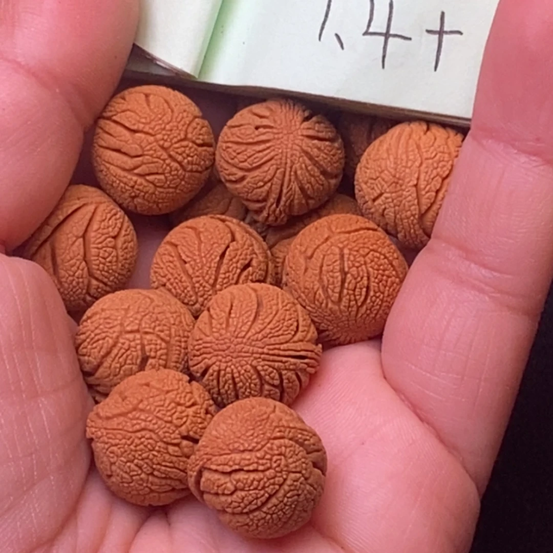 秦岭龙纹桃核17颗
