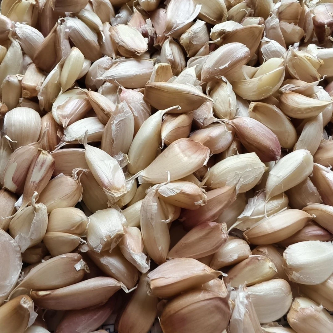 可吃【可种蒜苗蒜黄】小蒜瓣新干蒜小蒜瓣饱满自然晾晒发芽率高