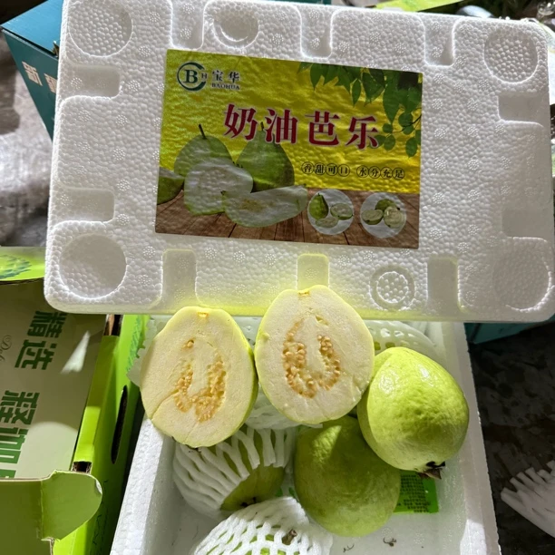 奶油芭乐 净重2.5斤±0.2 【顺丰包邮次日达】