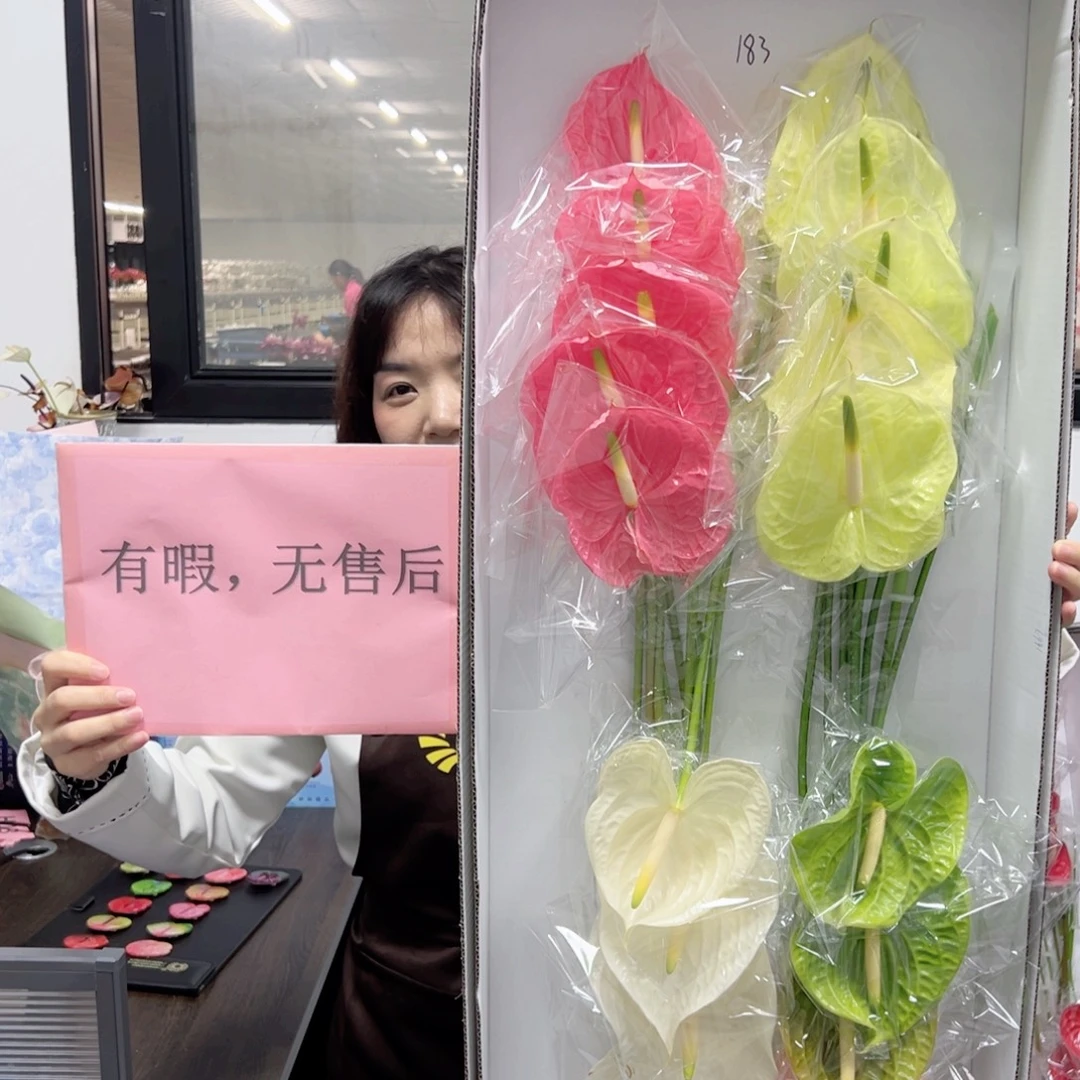 完全开放混色-18枝装无售后款183