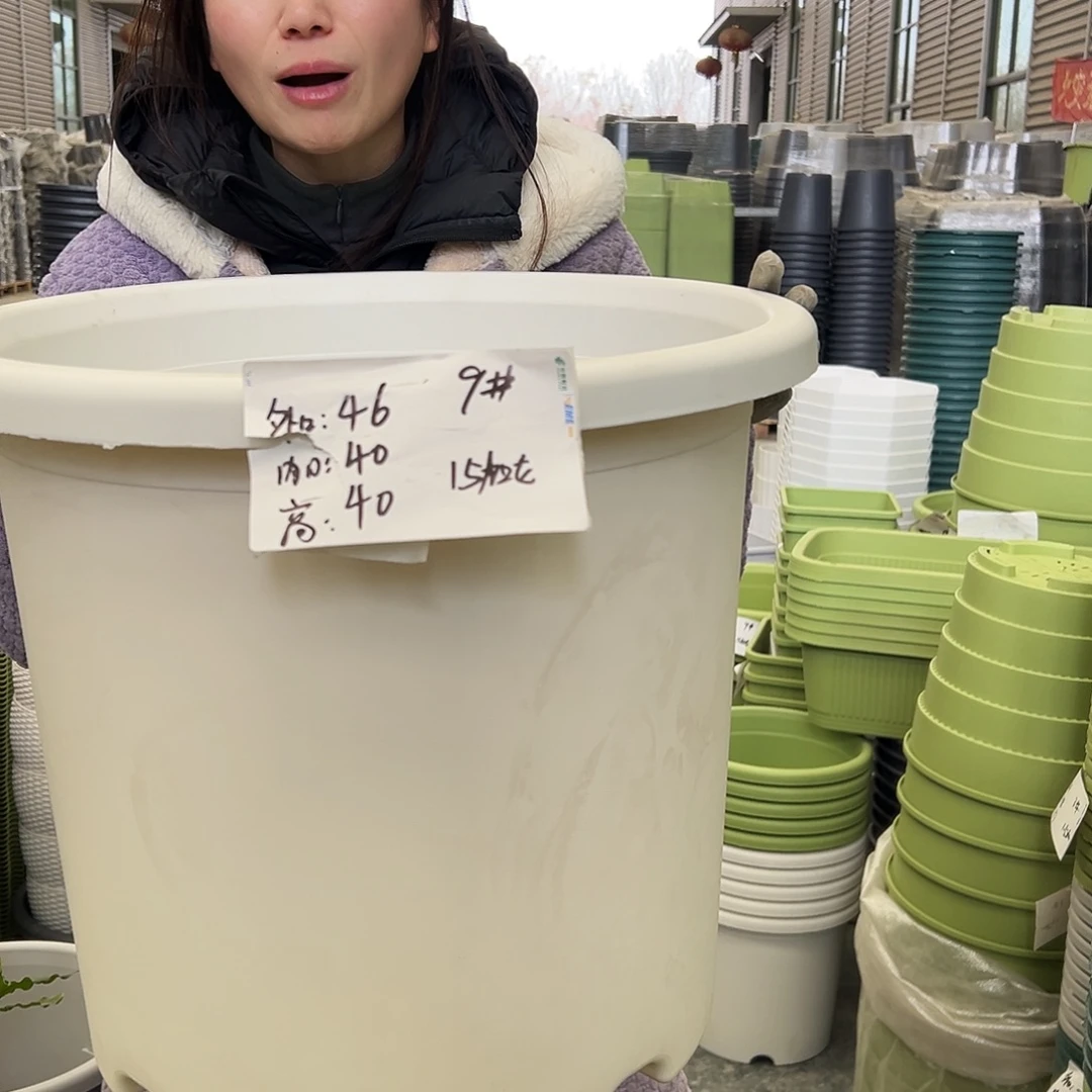 四季盆9#白4个无托