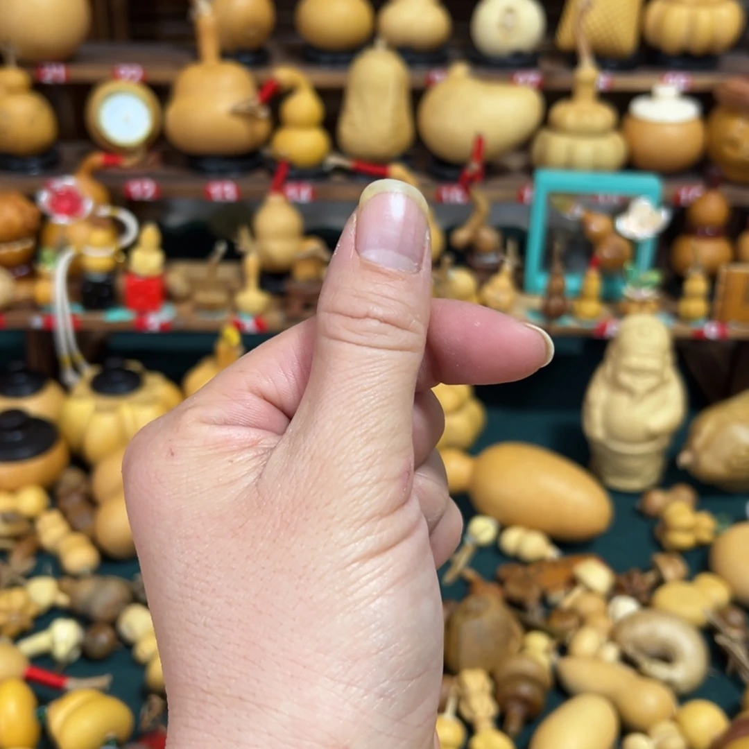 金*宝图旅途突突突突突突突突
