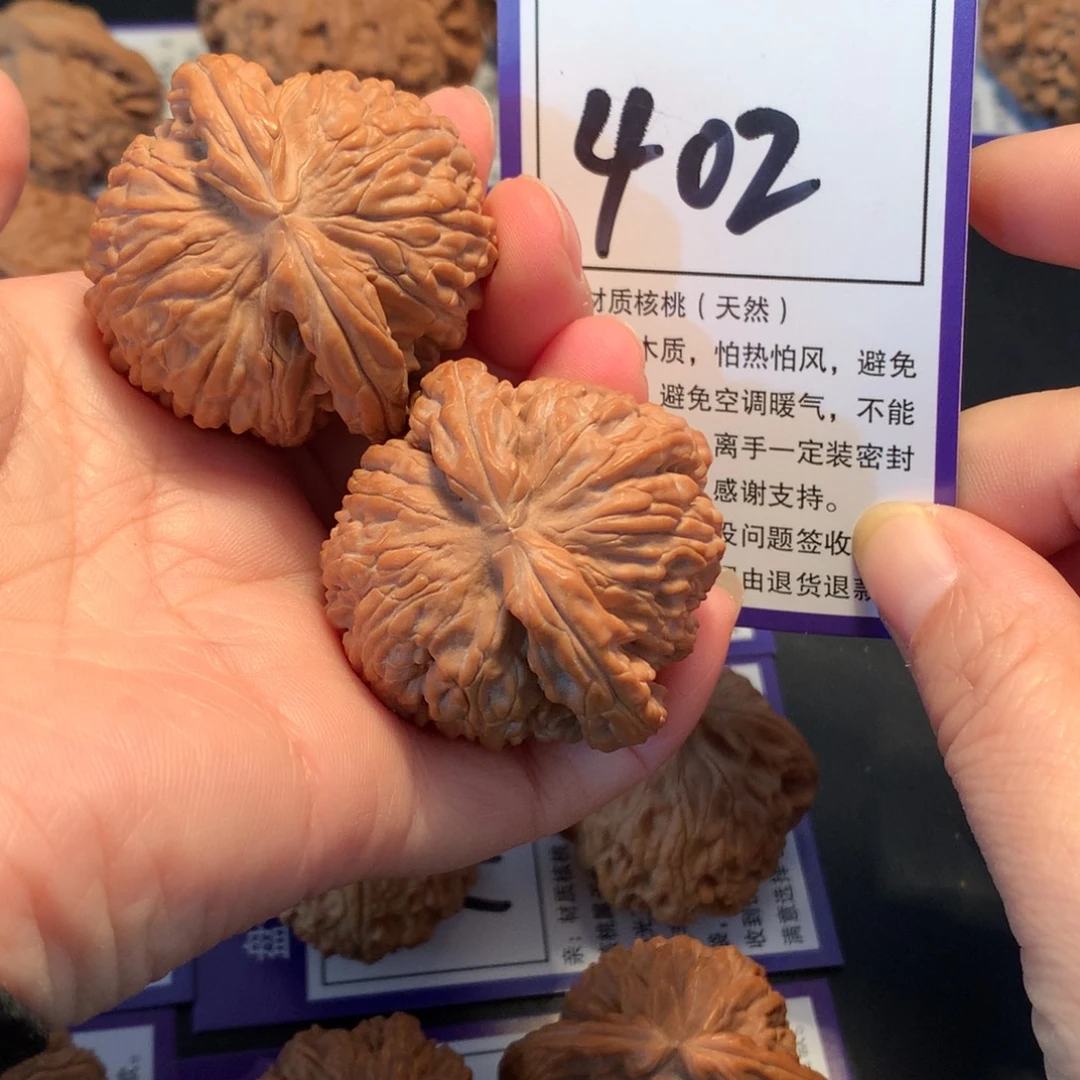 核桃402白狮子4.2全品