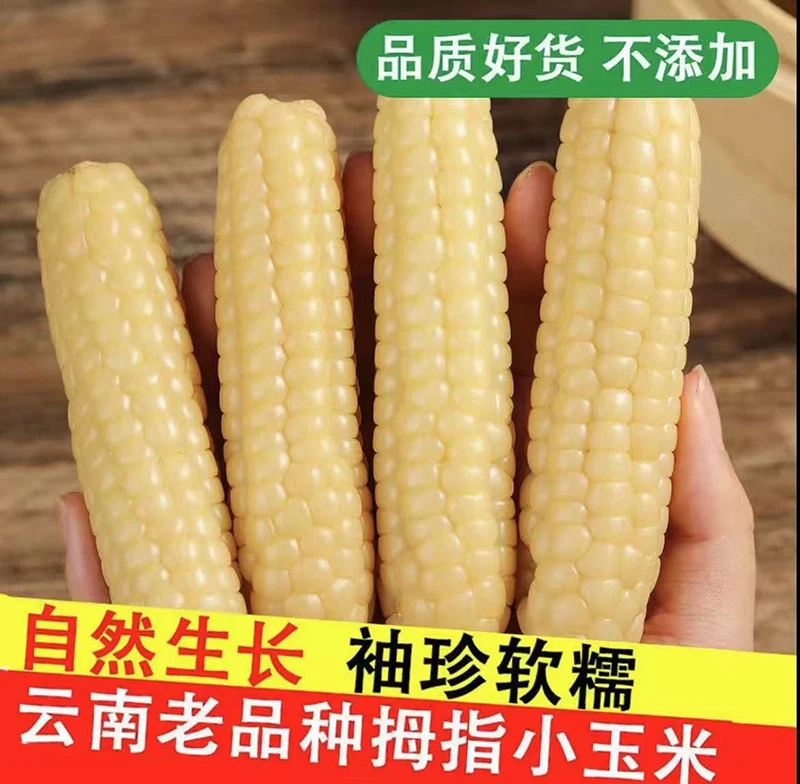 西双版纳拇指小玉米香甜软糯早餐代餐