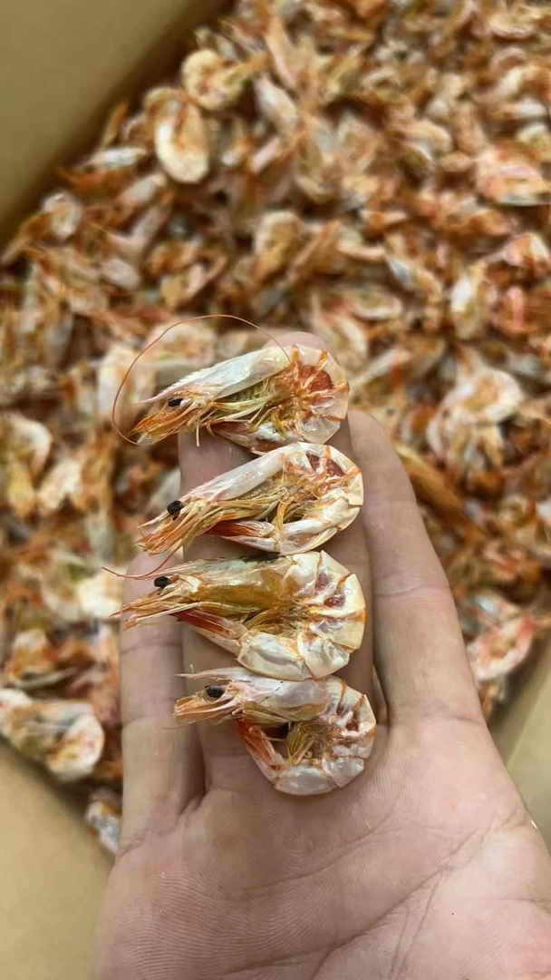 汕尾马宫长沙碑酒虾，干淡日晒鲜鲜腊腊