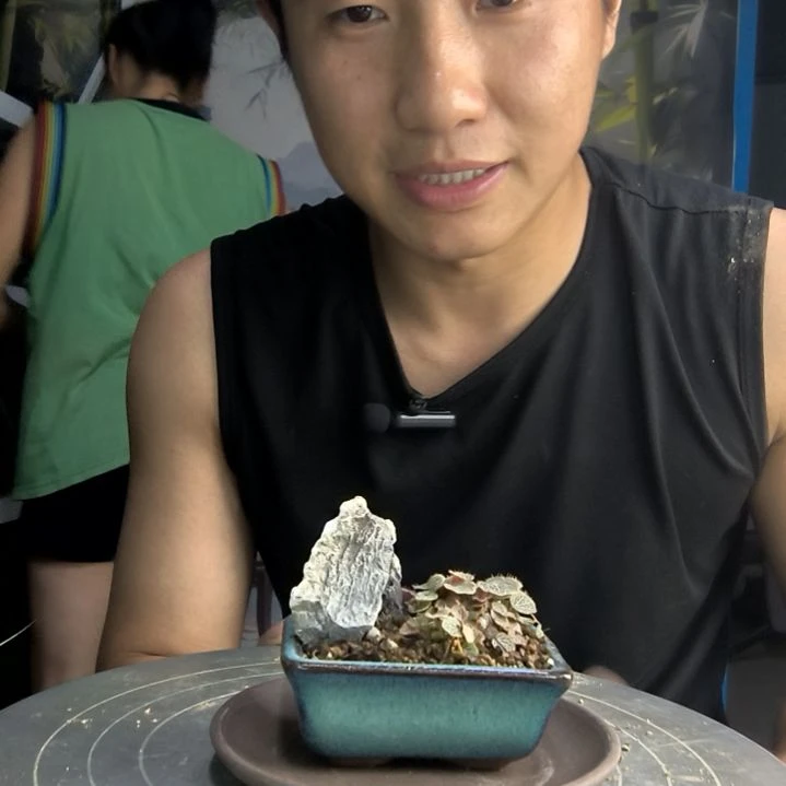 用****2中青园艺一物一拍289
