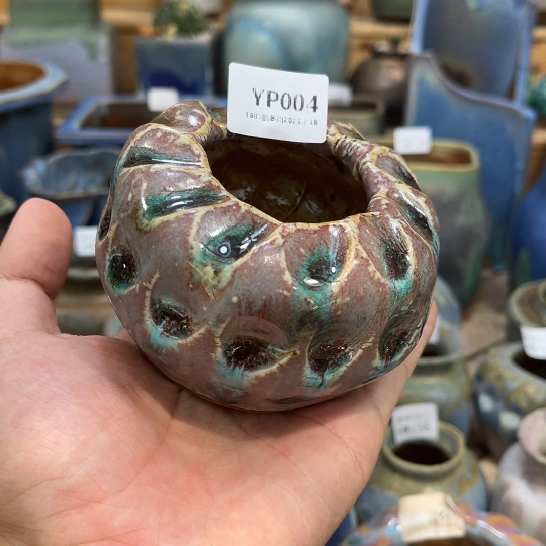 快***豆瓶YP004盆盆盆盆盆