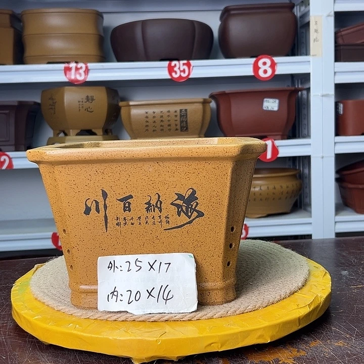 紫砂花盆蛇年大吉