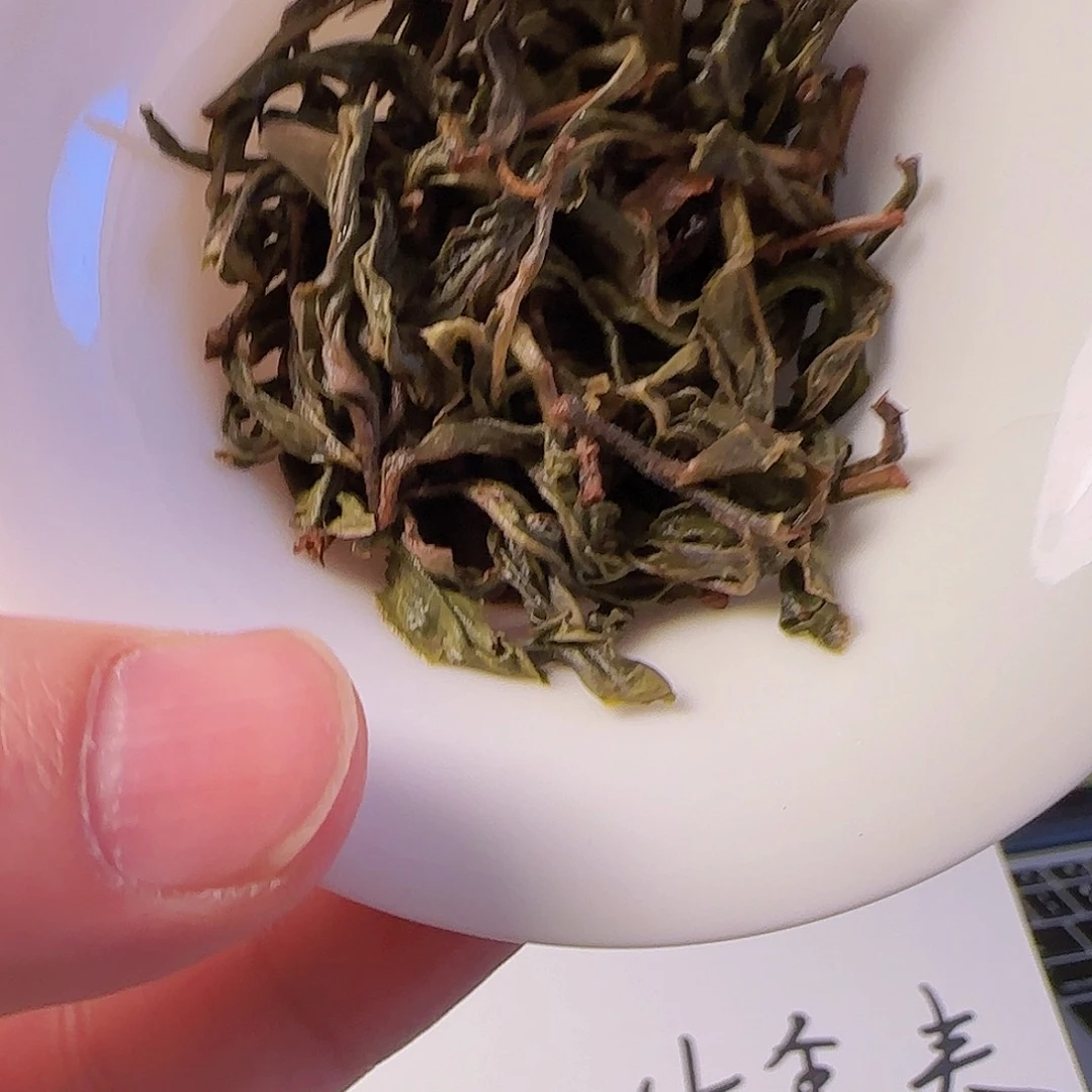 曼秀古树头春生普，体验古树口感标尺50g