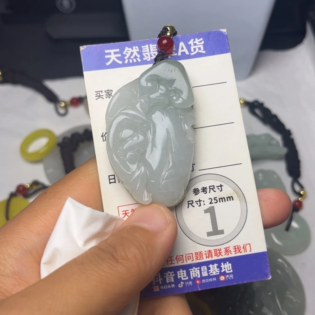 翡翠未镶嵌颈饰挂件