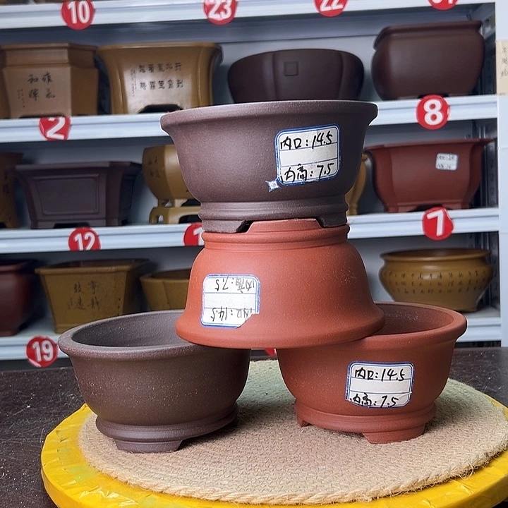 花盆紫砂蛇年大吉