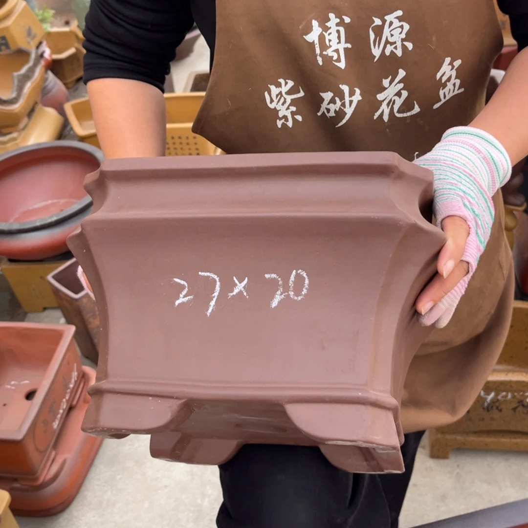 花盆紫砂盆景艺术