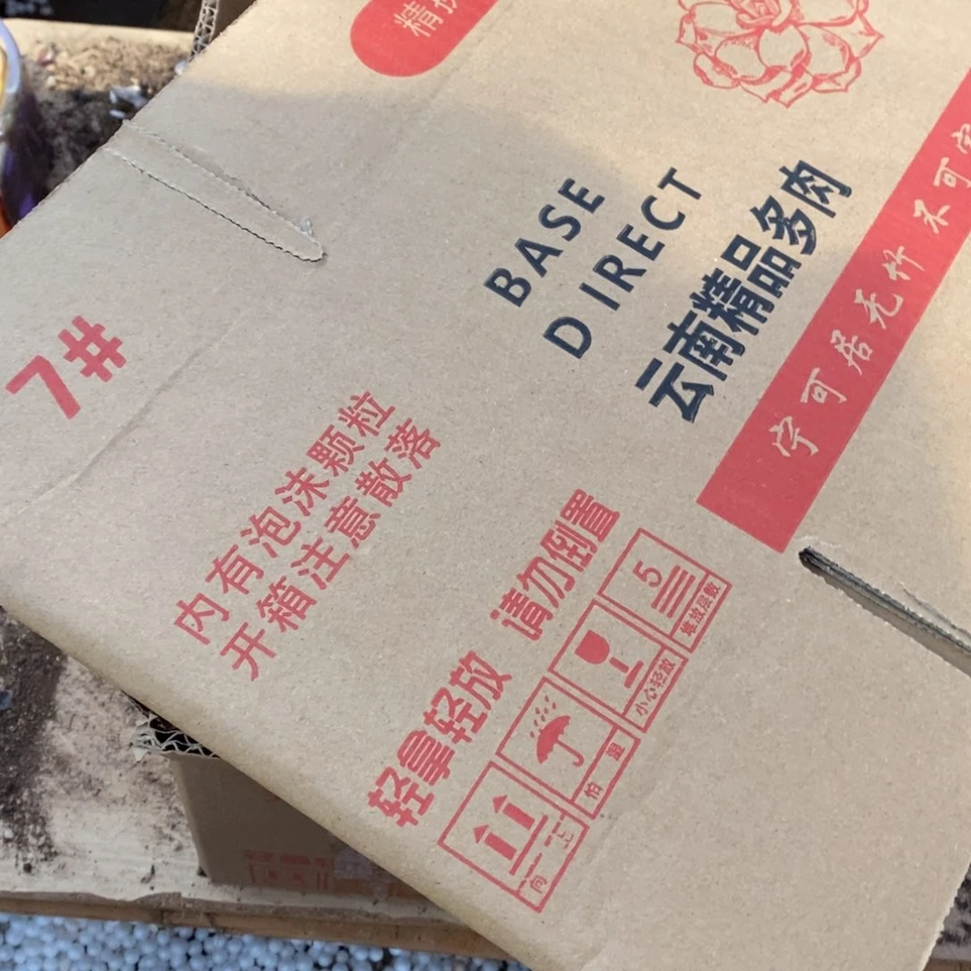 9.9体验版一箱1234