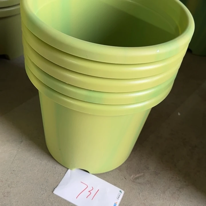 编号731微瑕口径29串色